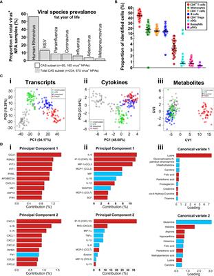 Lipopolysaccharide-induced interferon response networks at birth are predictive of severe viral lower respiratory infections in the first year of life